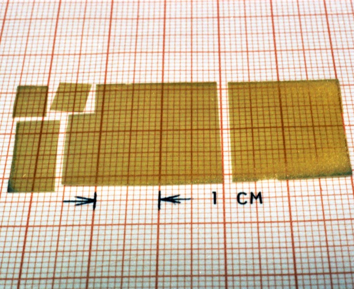 Several thin, translucent amber wafers of varying size arranged on graph paper, with a hand-drawn marker indicating a scale of one centimetre.